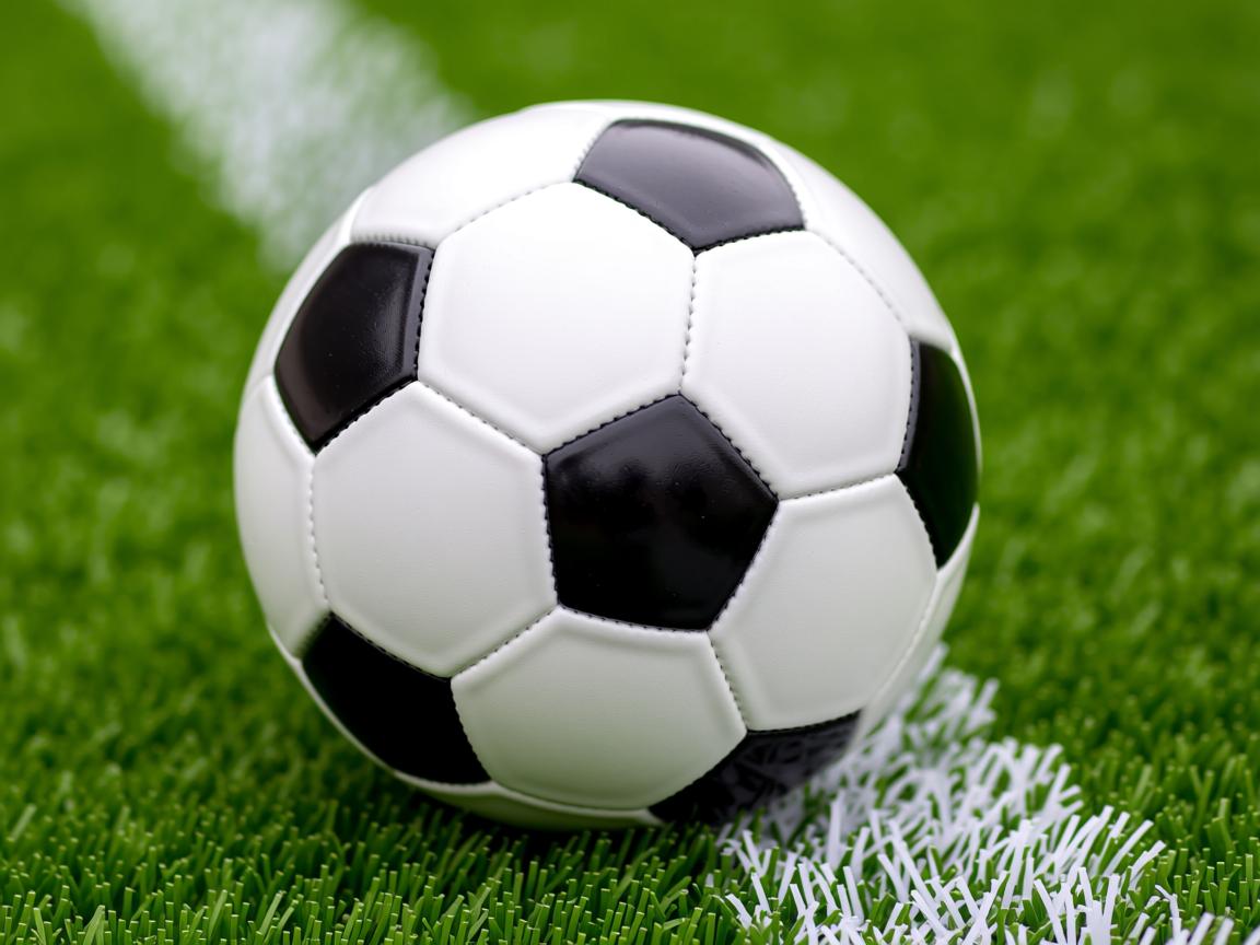 od体育官方平台入口-中国男篮加快攻守转换速度 提升整体效率，中国男篮打篮球