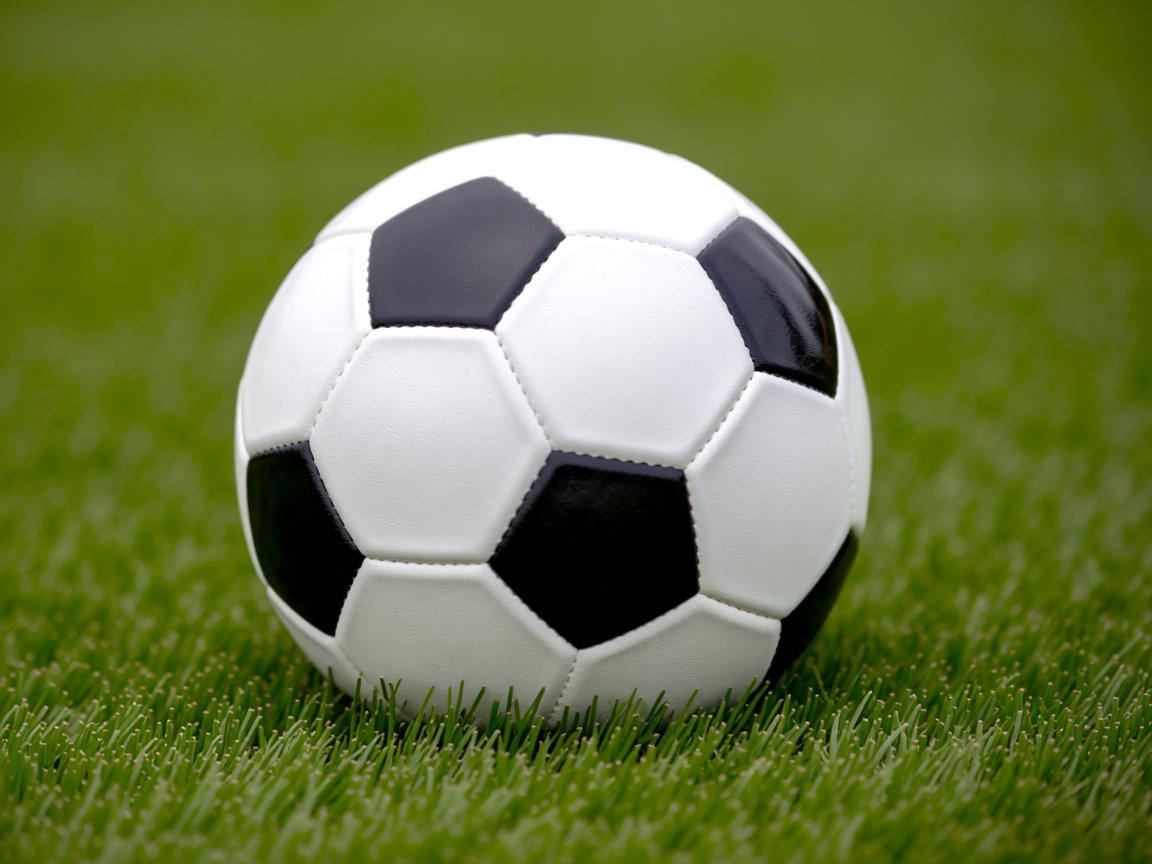 od体育官方入口-澳大利亚团队赛制解析：探索适应国际乒乓大赛的战略，澳大利亚乒乓男团  第3张