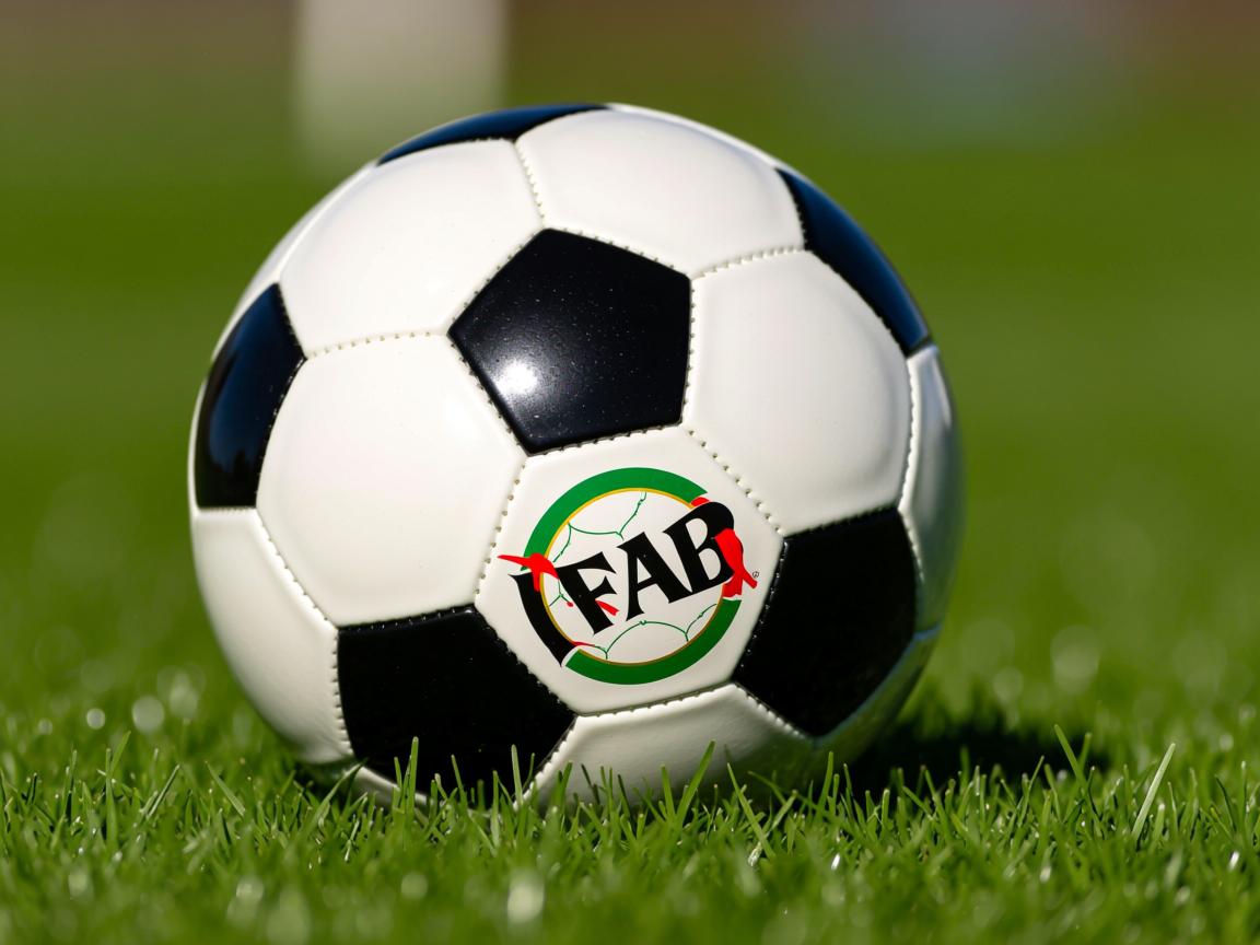 od体育官网app-美国队在国际乒联混合团体世界杯中的整体战术分析与表现，美国乒乓球职业联赛  第3张